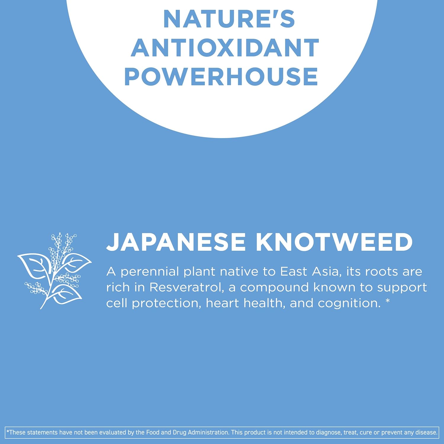 Vital Vitamins Resveratrol Capsules + Glutathione Capsules